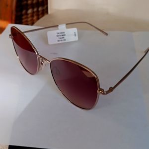 New DKNY Toupe Butterfly  Sunglasses